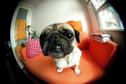 Нелли Александровна | Омск