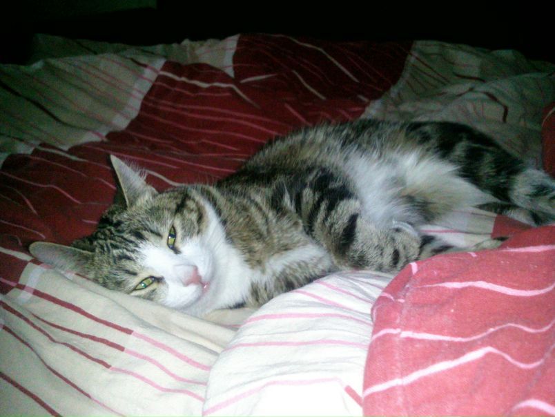 Artem P фото профиля #4