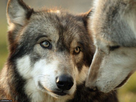 Игорь Хоменко | Харьков