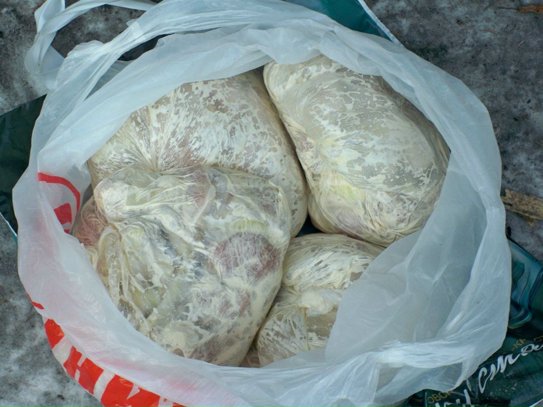 Андрей Худеев | Карпинск