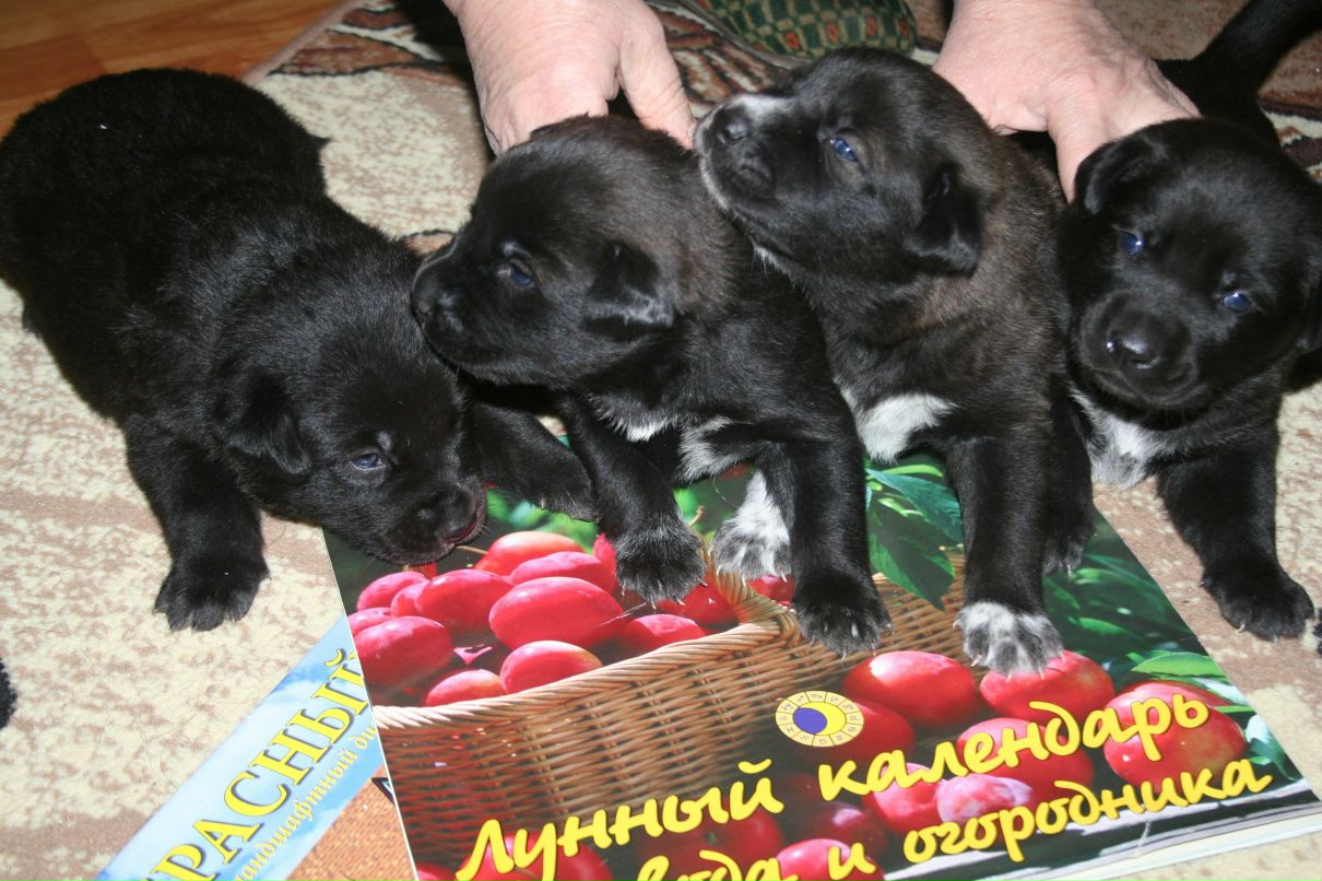 Ирина Гуйдова Iliko | Санкт-Петербург