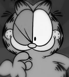 Эльвира Гасымова | 