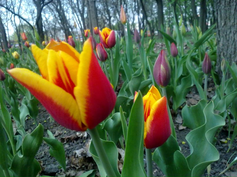 Olya Burjanova | Кропивницкий / Кировоград