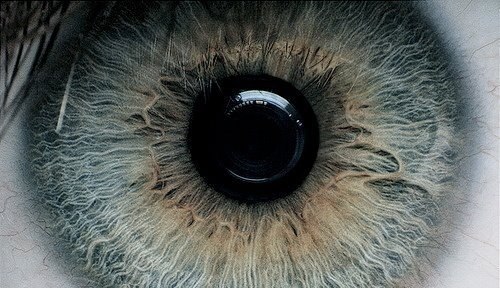 Алексей Стручков | 