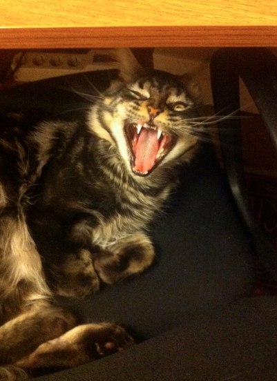 Tim Всеможно | Киев