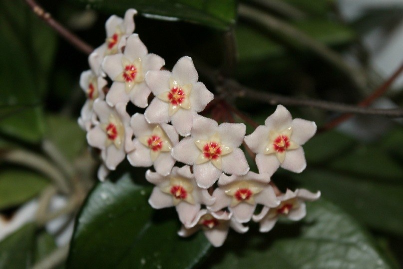 Елена Шуклина | Северск