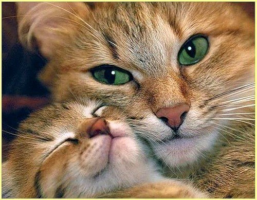 №165, Саша Киселева, Нижний Новгород, Россия №165, Саша Киселева, Нижний Новгород, Россия