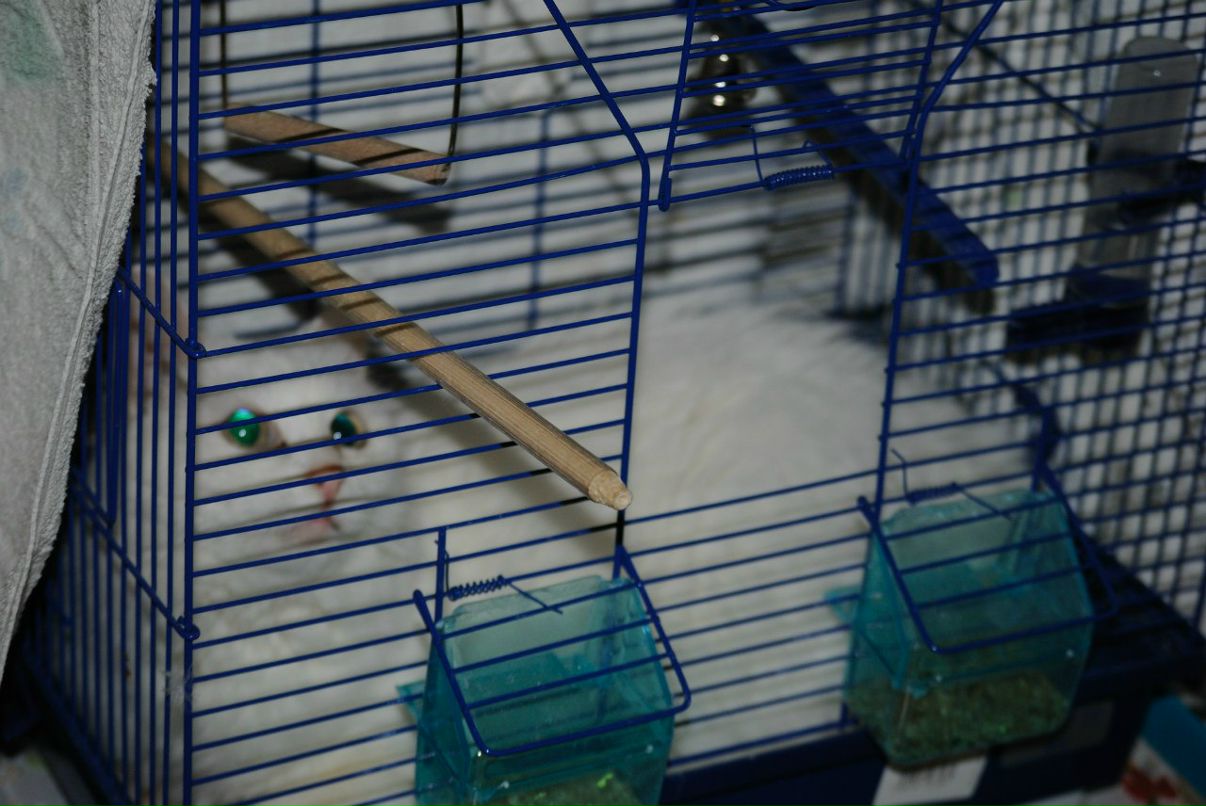 Любовь Кострикина | Москва