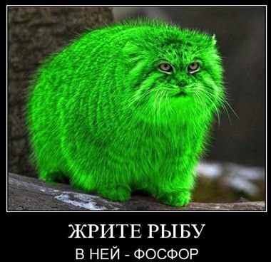 Сергей Веселов fil | Санкт-Петербург