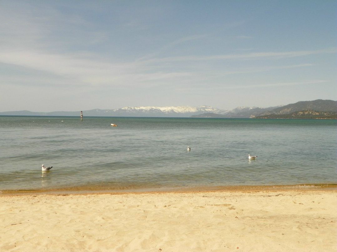 Яна Батрак | Los Angeles