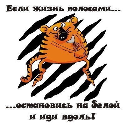 №14, Виктория Будыльская, Ростов-на-Дону №14, Виктория Будыльская, Ростов-на-Дону