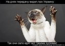 Фотография Карпенко Виктора