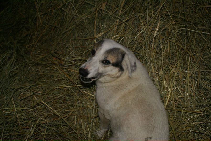 Liza Kobeleva | Харьков