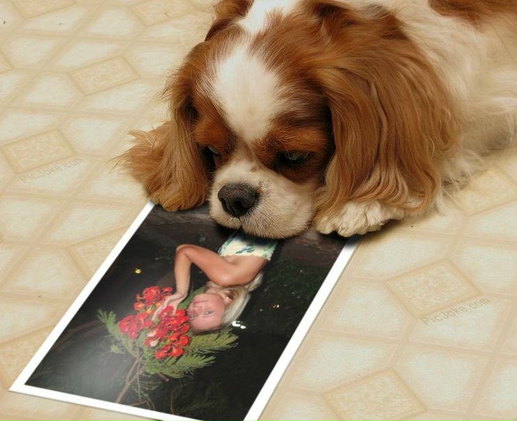 №46, Татьяна Бутакова, 36 лет, Дзержинский №46, Татьяна Бутакова, 36 лет, Дзержинский