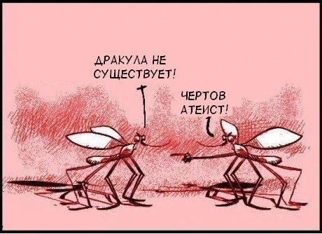 Некит Сутягин MatroskiN | Москва