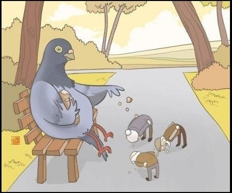 Роман Фокин | Киров