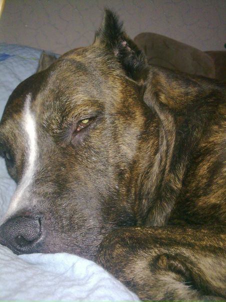 №20, Коля Озарко, Ивано-Франковск №20, Коля Озарко, Ивано-Франковск