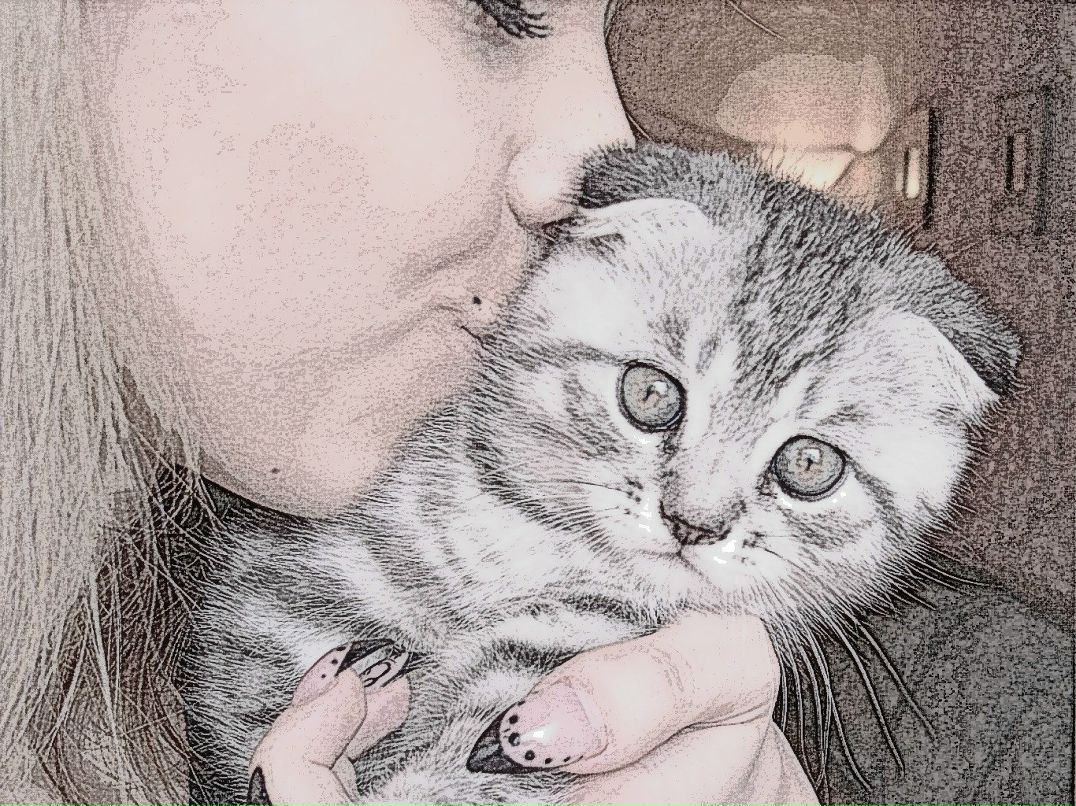 Анастасия Иноземцева ♂♀ | Волгодонск