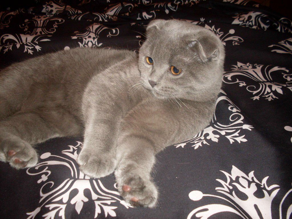 Наталья Маркитан | Москва