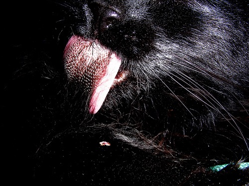 №189, Yulianna Aleksandrova №189, Yulianna Aleksandrova