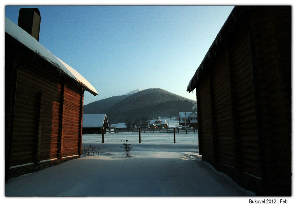 Игорь Волков | Chicago