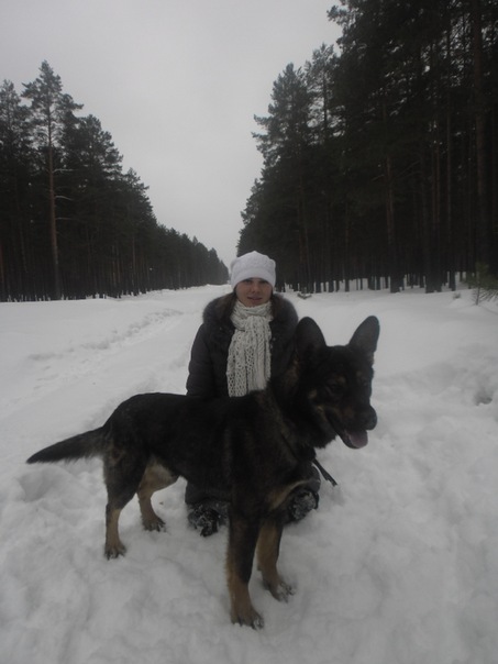 №143, Елена Головкина, Силикатный №143, Елена Головкина, Силикатный