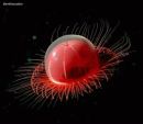 Фотография Саша Кимвал