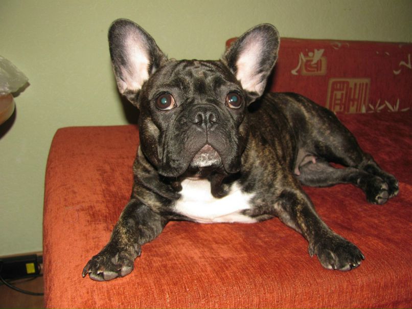 Наталья Долотова | Рыбинск