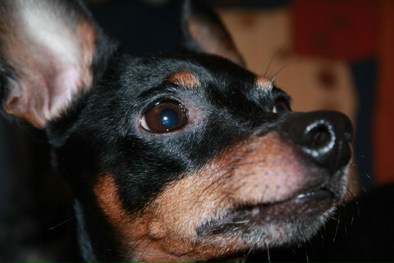 Линк@ Cool | Москва