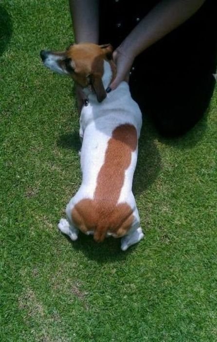 Ксеня Альбертовна | Каменец-Подольский