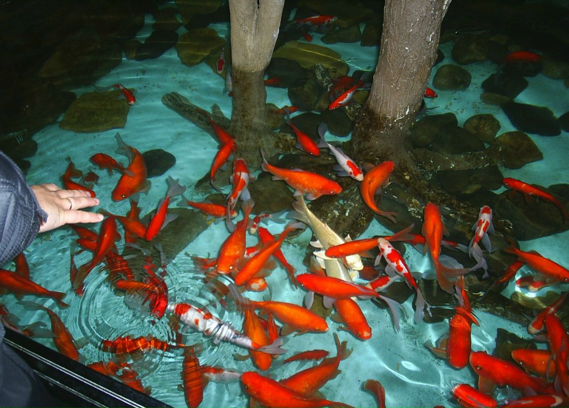 Сергей Пономарев ˙·٠✈ | Новосибирск