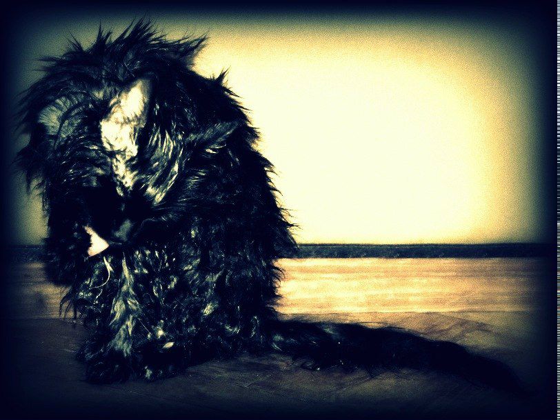 Стася Есенина | Москва