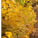 №58, Олег Водинов, Череповец №58, Олег Водинов, Череповец