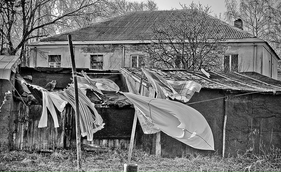 №60, Андрей Санин, 42 года, Санкт-Петербург №60, Андрей Санин, 42 года, Санкт-Петербург