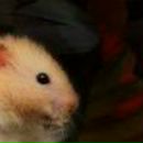 Любовь Щетникова | Екатеринбург