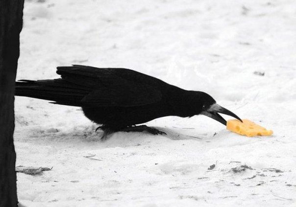 №48, Анастасия Мельникова, 46 лет, Иваново №48, Анастасия Мельникова, 46 лет, Иваново