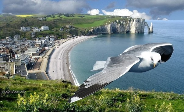 Серёга Иванов | 