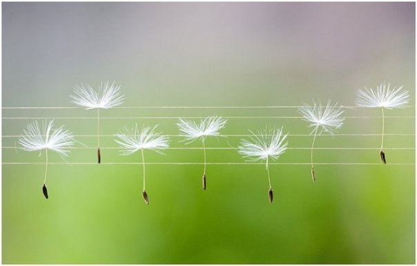 Анна Яковлева | Владивосток