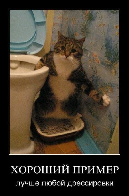 Ришат Фаткуллин | Москва