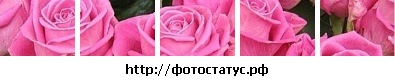 №39, Оленька Просяная, 35 лет, Днепр (Днепропетровск) №39, Оленька Просяная, 35 лет, Днепр (Днепропетровск)
