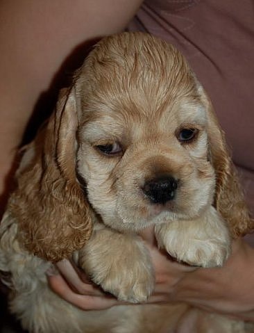 №46, Мэри Mary, Москва №46, Мэри Mary, Москва