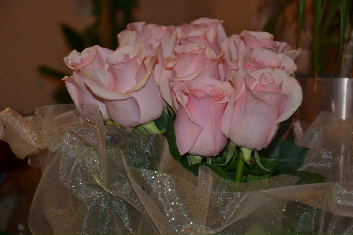 Валерия Багинская | Екатеринбург