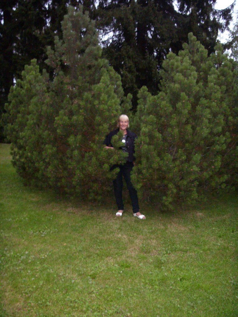 Ирина Панишева | Петрозаводск