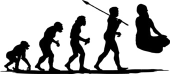 №37, Евген Павлюк, Вышгород №37, Евген Павлюк, Вышгород