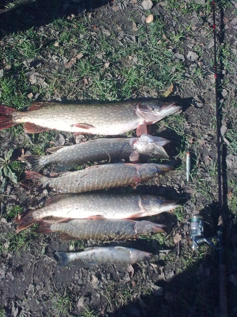 Андрей Орлик | Крымск