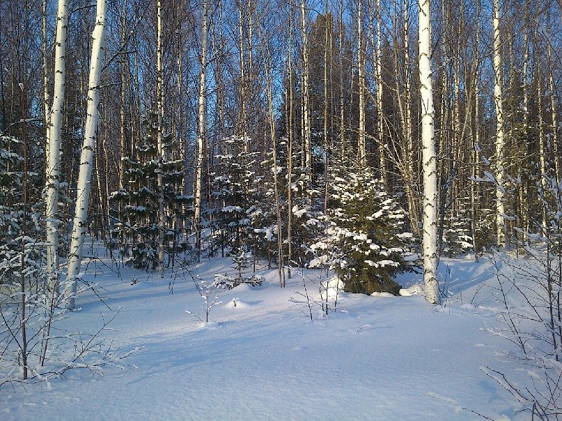 Александр Бугуртов | Стрежевой