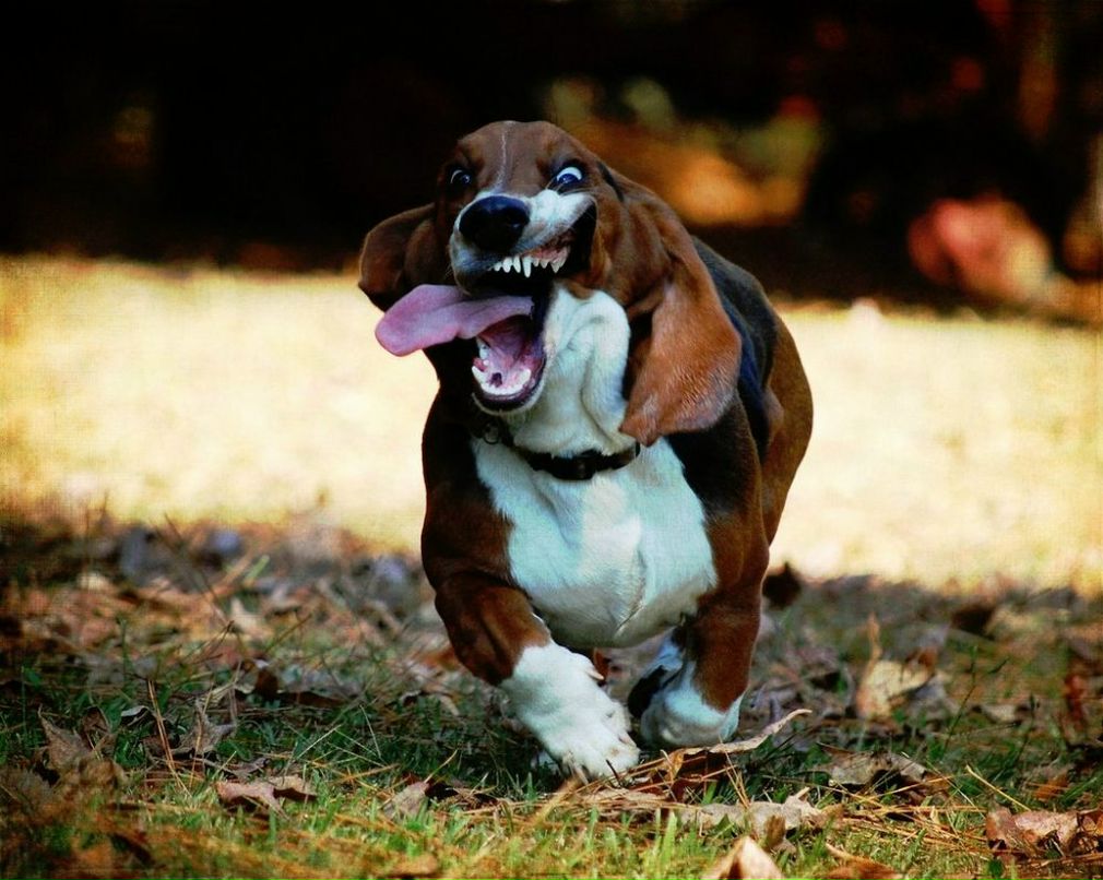 Александр Домский @ | Острог