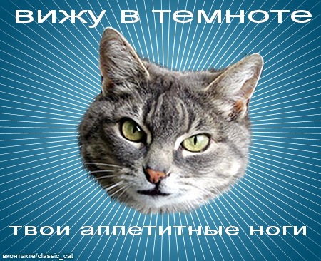 №140, Анастасия Попова, Киев №140, Анастасия Попова, Киев