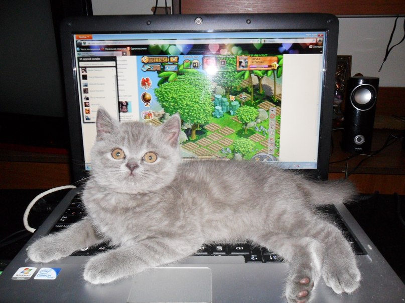 Лариса Потапова | Горишние Плавни / Комсомольск