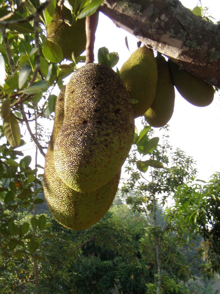 Вадим Иванов | 